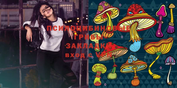 соль курить ск Алзамай