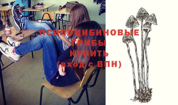 прущие крисы Алексеевка