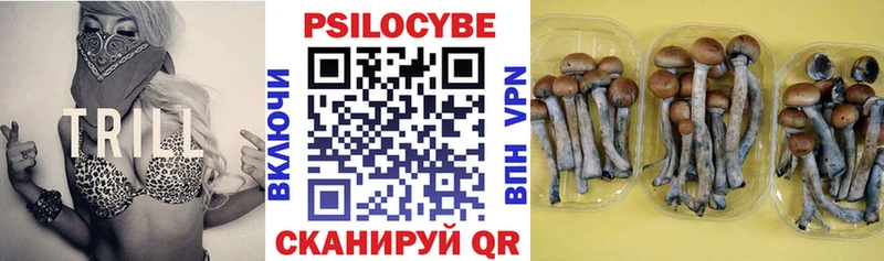 как найти закладки  Сарапул  Псилоцибиновые грибы мухоморы 